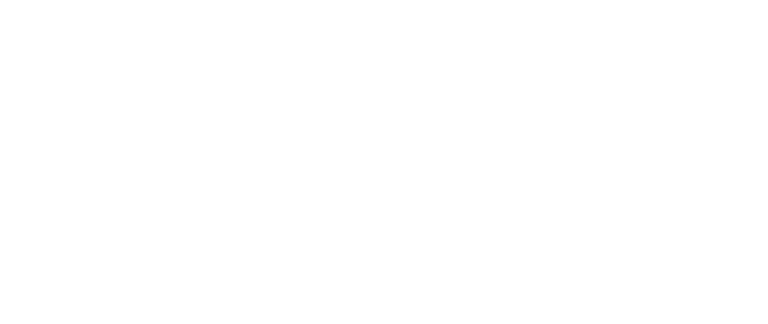 SW Logos_Transparent Backgrounds-11